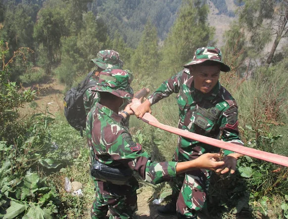 Lebih dari 900 Hektare Terdampak, Pemadaman Karhutla TNBTS Terus Dimaksimalkan