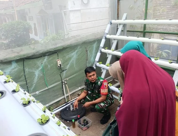 Babinsa Kodim 0833 Berikan Edukasi Hidroponik Wujudkan Ketahanan Pangan