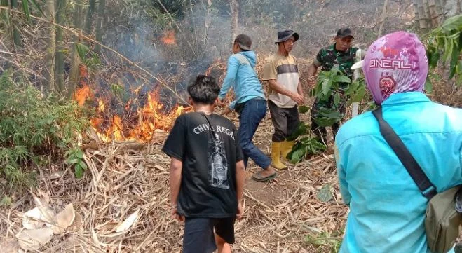 Karhutla di Pakisan Bondowoso, Babinsa Bersama Tim Gabungan Lakukan Pemadaman