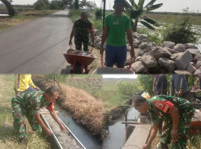 Dukung Produktivitas Petani, Babinsa dan Warga Gotong Royong Bangun Saluran Irigasi
