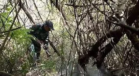 Karhutla TNBTS Terkendali, Tim Gabungan Tetap Siaga Pantau Titik Panas di Tebing Pusung Duwur