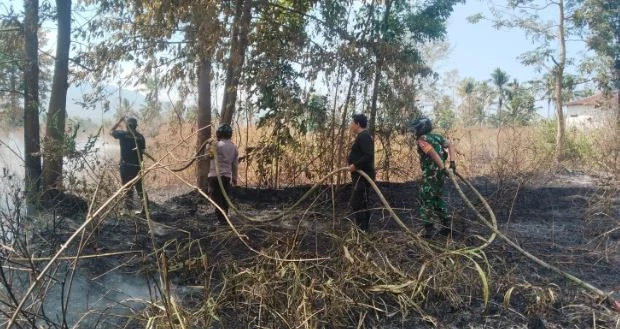 Kebakaran Semak Belukar di Lahan Kosong Cindogo Tapen, Babinsa Bersama Bhabinkamtibmas Gerak Cepat