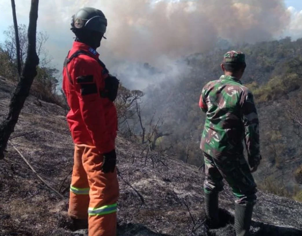 Tim Gabungan Tangani Karhutla di Kawasan Hutan TNBTS Desa Argosari
