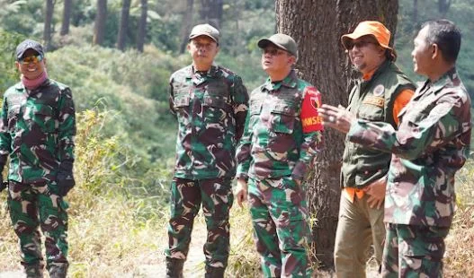 17 Agustus 2026 Api Mereda, Satgas Karhutla TNBTS Tak Hentikan Penyisiran dan Pendinginan