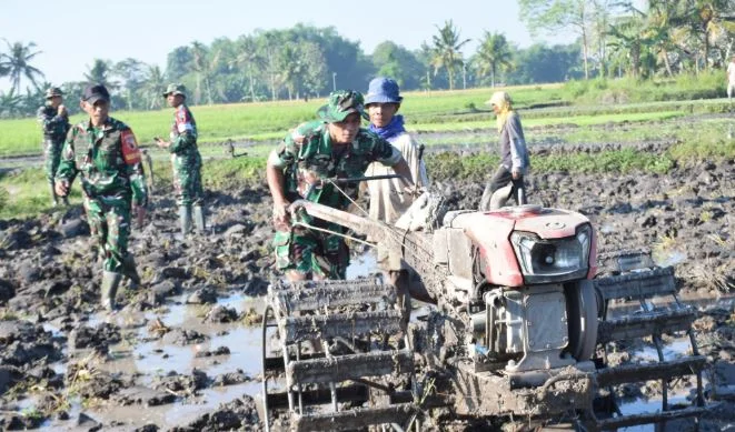 Dari Sawah Untuk Negeri: Kodim 0822 Gembleng Puluhan Pelaku Hanpangan, Demi Ketahanan Pangan Yang Tangguh