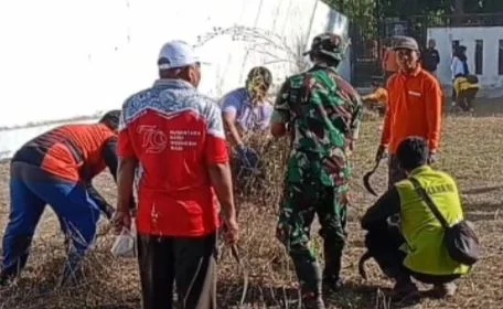 Babinsa Asembagus Bersama Forkopimcam Gotong Royong Bersihkan Taman Makam Pahlawan