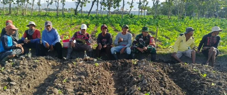 Babinsa Koramil 0822/04 Tenggarang Berbaur dengan Petani, Bukti Babinsa Selalu Hadir untuk Rakyat