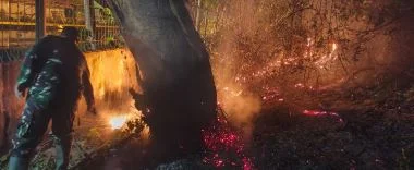 Api Membakar ±10 Hektare Lantai Hutan Banyuglugur, Koramil dan Warga Berjibaku Lakukan Penyekatan